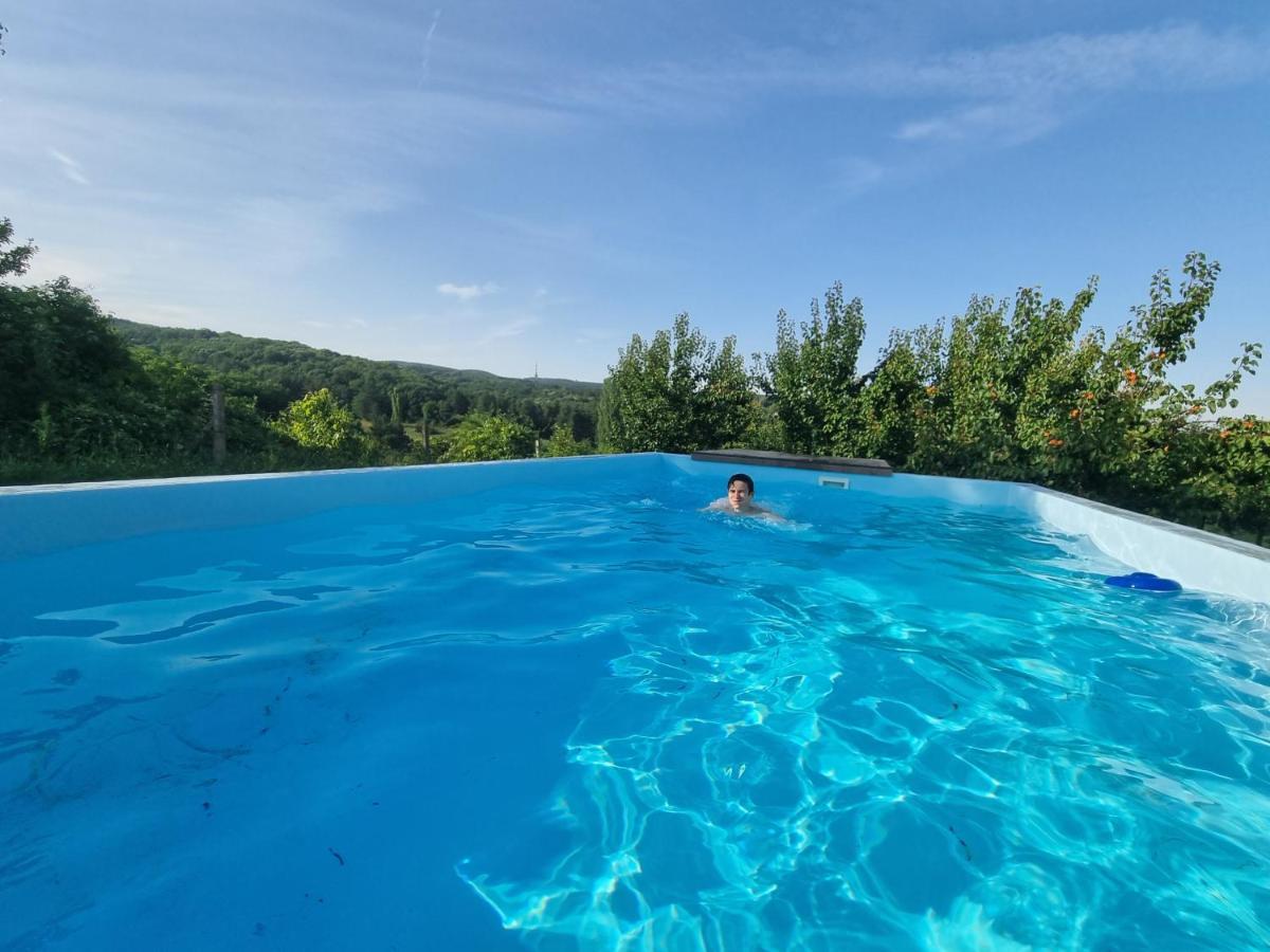 Villa Hoopovo House Fruska Gora Irig Exterior foto