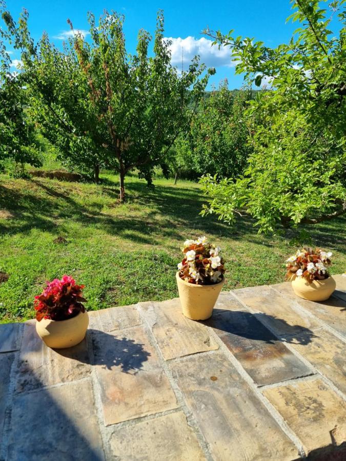 Villa Hoopovo House Fruska Gora Irig Exterior foto