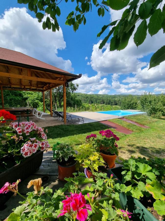 Villa Hoopovo House Fruska Gora Irig Exterior foto